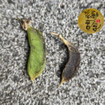 線上陪寫：我殺死了自己